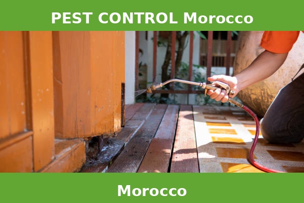 PEST CONTROL Morocco